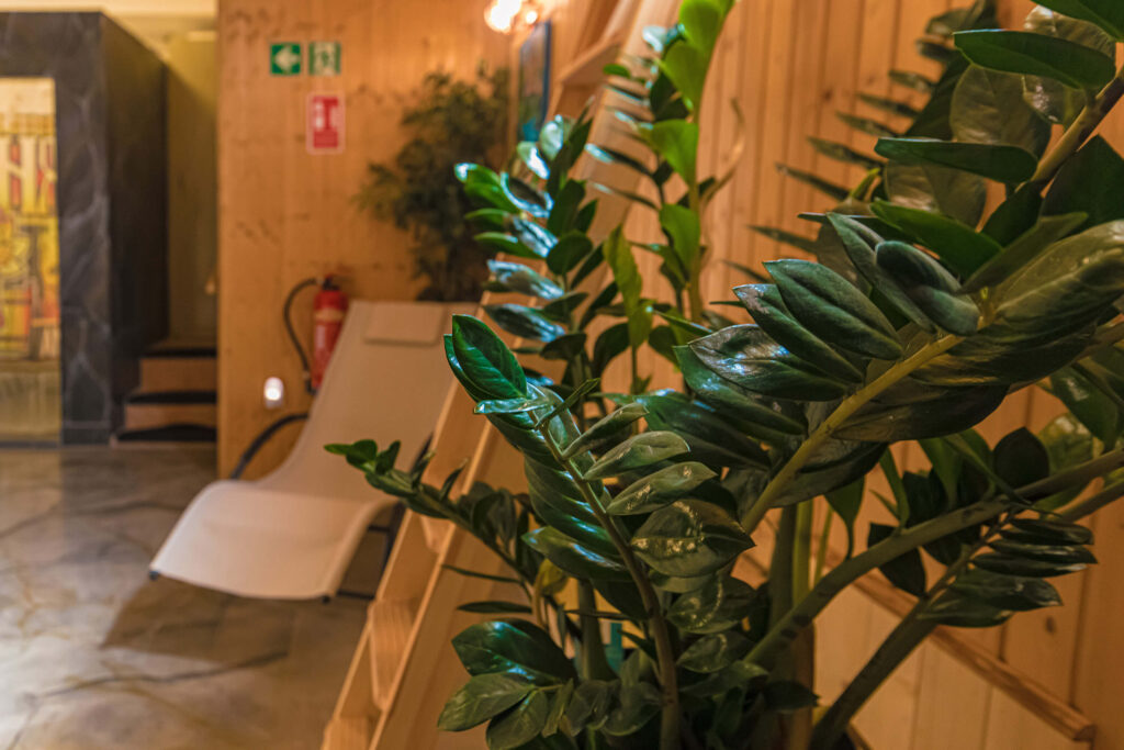 Sauna in Regensburg